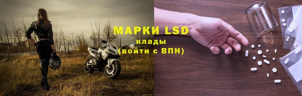 прущие грибы Краснослободск