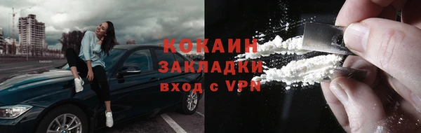 прущие грибы Краснослободск